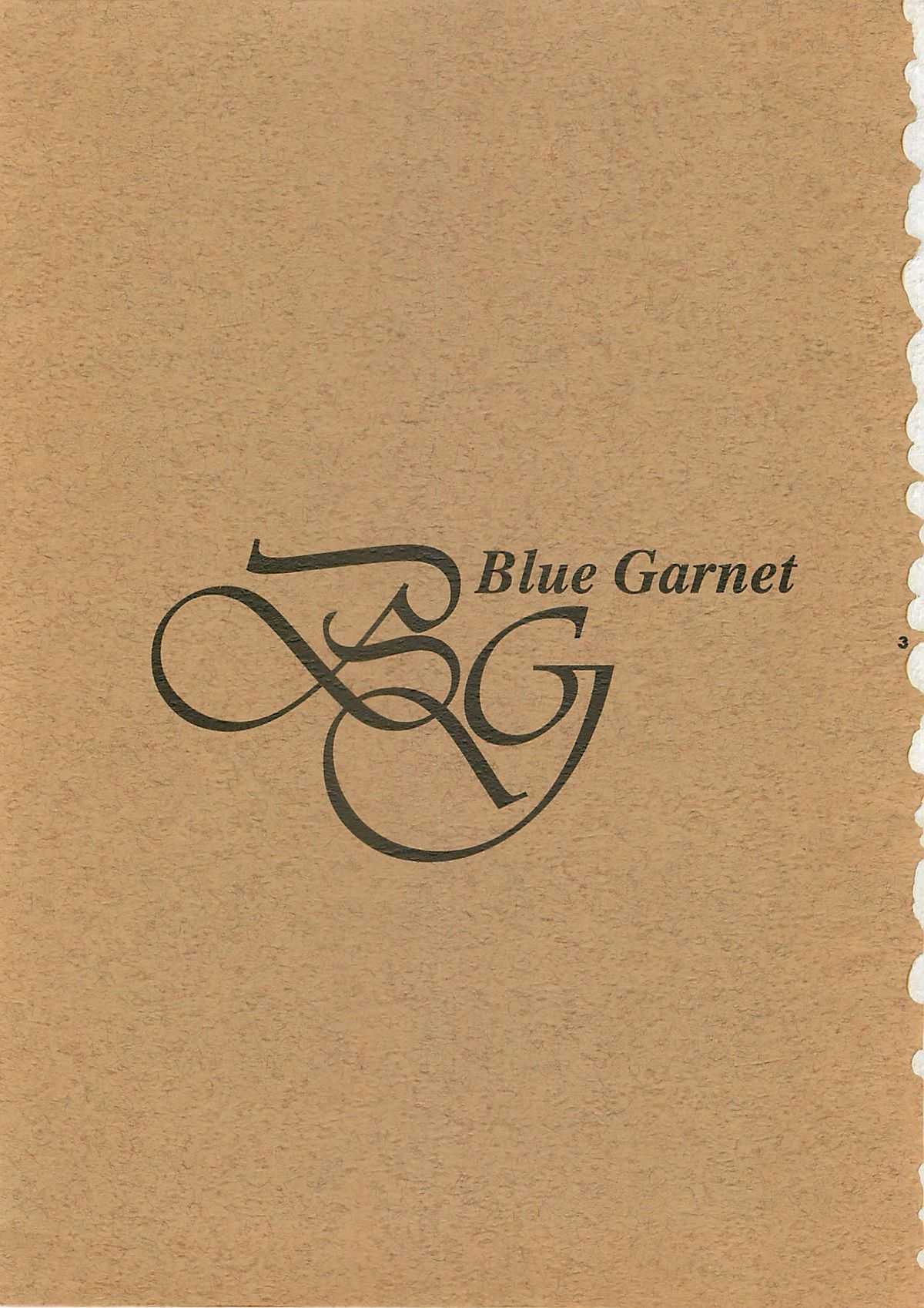 (C52) [BLUE GARNET (Serizawa Katsumi)] Blue Garnet Vol. 4 Kinku (Darkstalkers) (C52) [BLUE GARNET (芹沢克己)] Blue Garnet Vol.4 禁区 (ヴァンパイアセイヴァー)