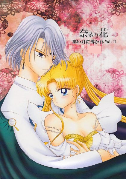 [Sailor Moon] Kuroi Tsuki ni Michibikare Vol.2+3 (sample & cover ONLY) 