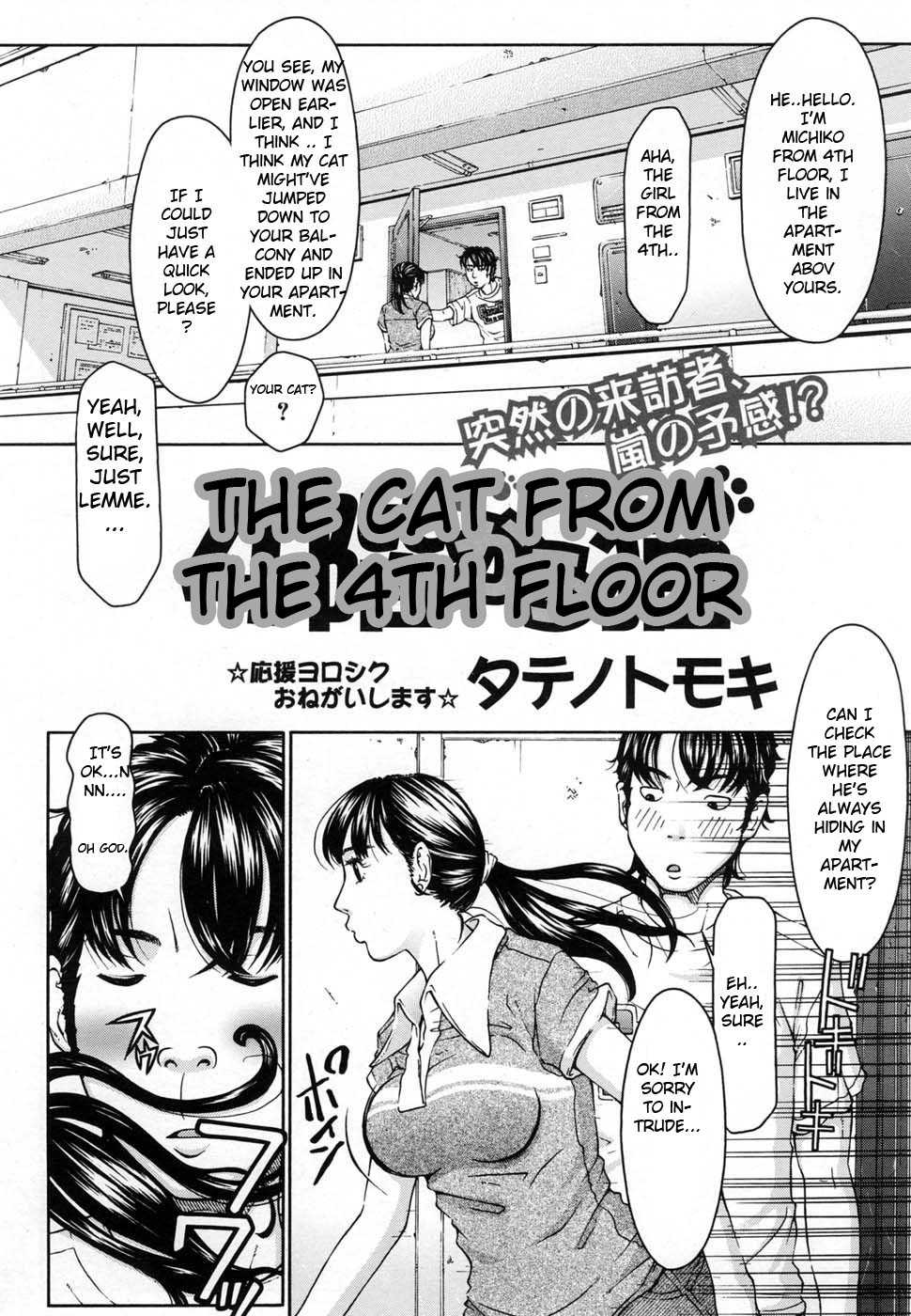 The Cat From The 4th Floor [English] 