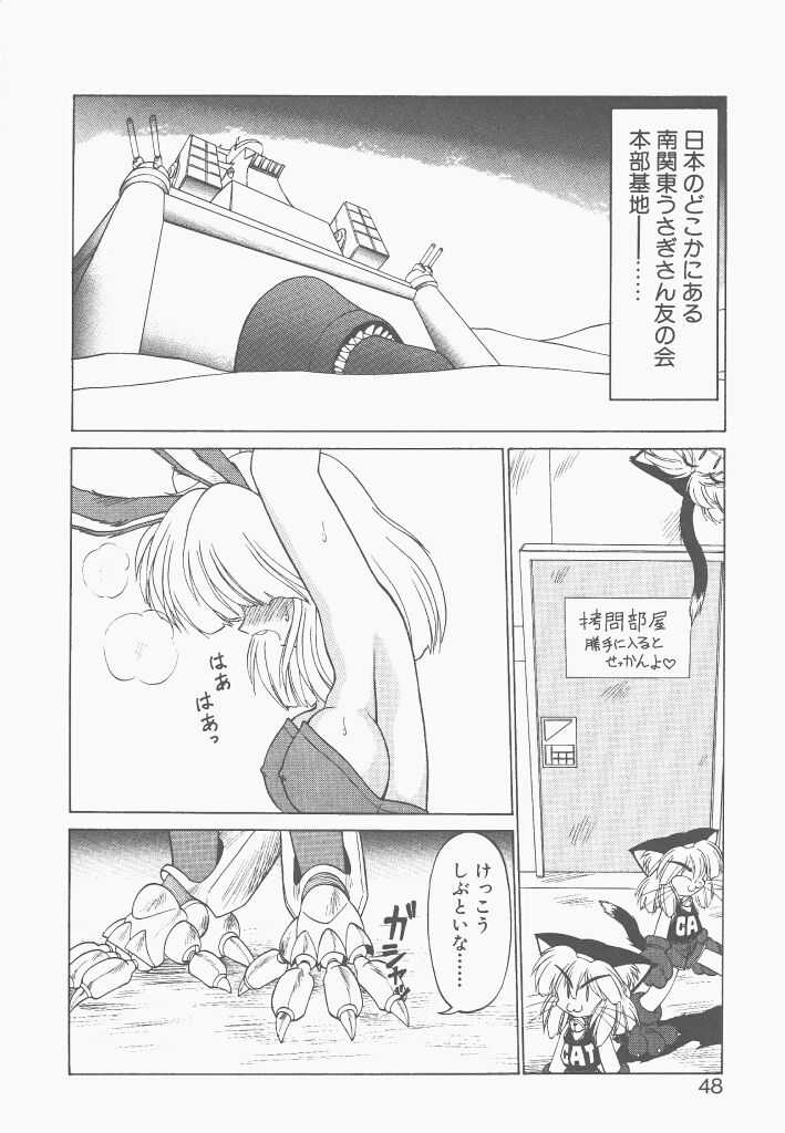 [Neriwasabi]Shinzou Ningen Stronger Bunny 2 [ねりわさび]新造人間ストラグルバニー 2[J]