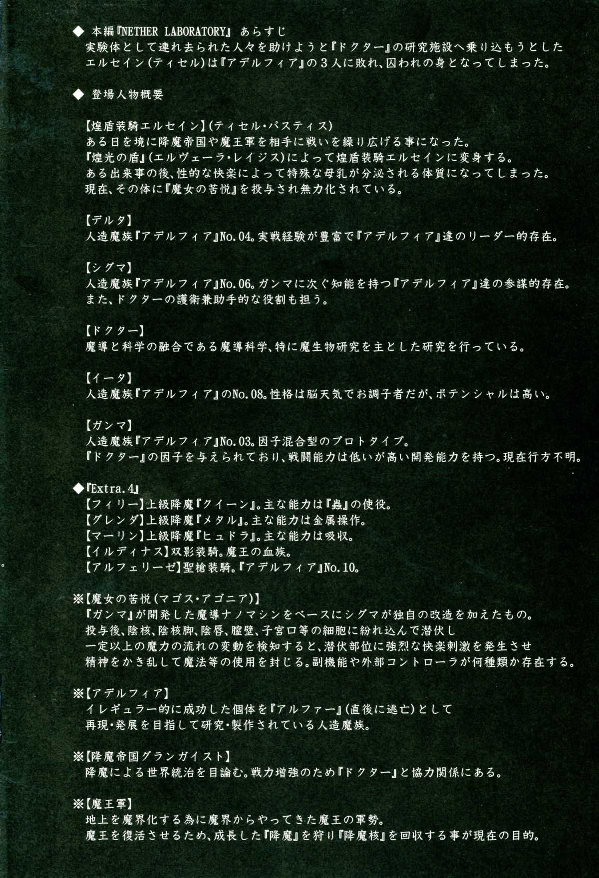 (C81) [FONETRASON (Ryutou)] Shield Knight Elsain Vol.11 &quot;NETHER LABORATORY&quot; (C81) [FONETRASON (竜湯)] 煌盾装騎エルセインVol.11 「NETHER LABORATORY」
