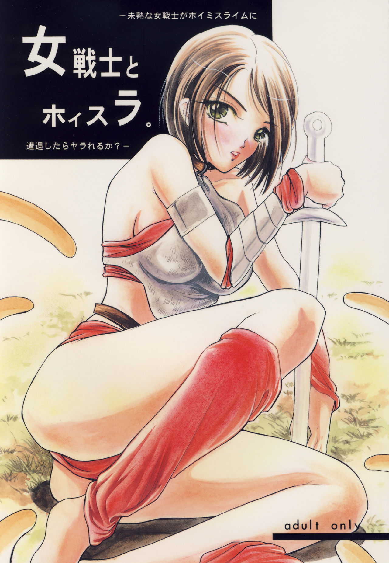 (C76) [Barbaroi no Sato (Ryuuka Ryou)] Onna Senshi to Hoisura. (Dragon Quest IX) (C76) [バルバロイの里 (りゅうか綾)] 女戦士とホイスラ。 (ドラゴンクエストIX)