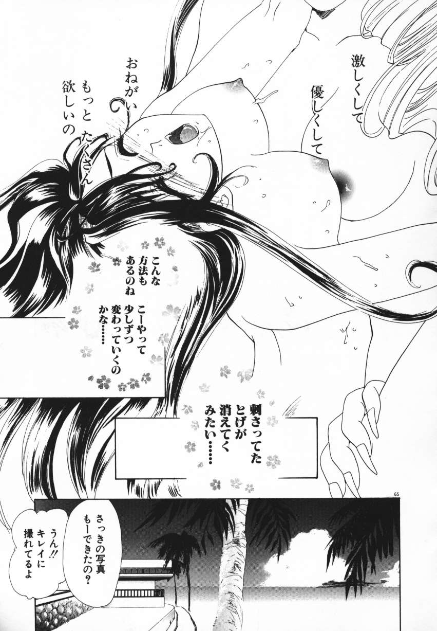 [U-K] Tenshi no Hane Collection (成年コミック) [U-K] 天使の羽コレクション