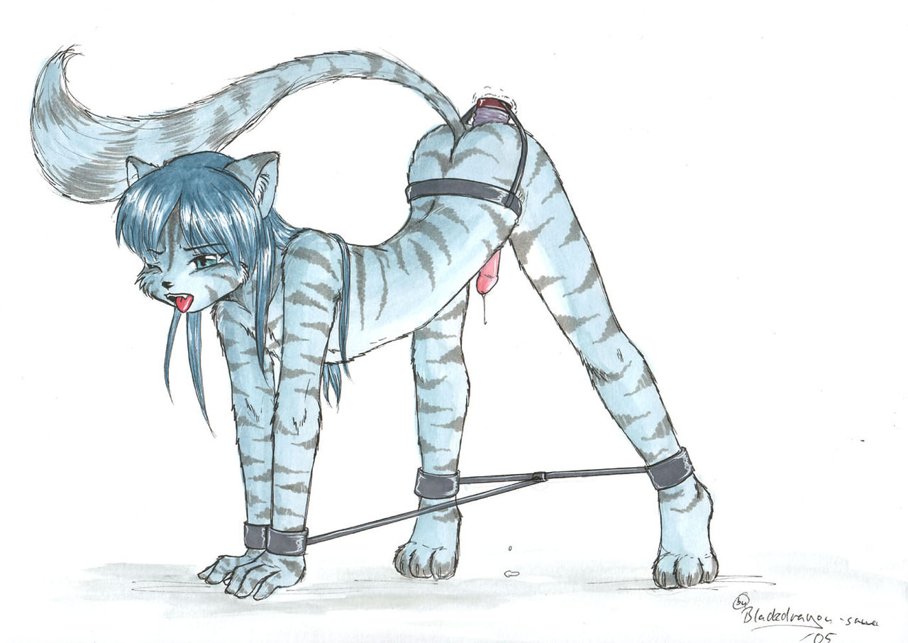Catgirl Pt2 